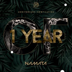1 Year of Namata