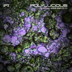 Polylucious - Polytechnic Album Sampler 010