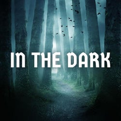 In the Dark