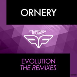 Evolution Remixes
