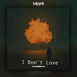 I Don't Love