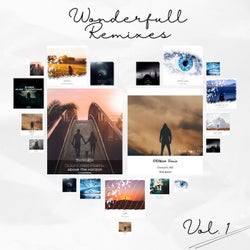 Wonderfull Remixes, Vol. 1