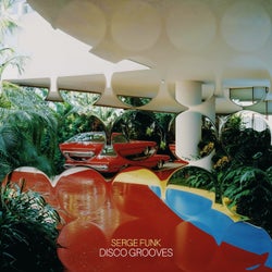 Disco Grooves