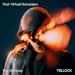 Post Virtual Humanism (Remixes)