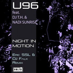 Night in Motion (Eric Ssl & DJ Falk Remix)