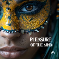 Pleasure (Of The Mind Remix)
