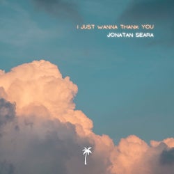 I Just Wanna Thank You