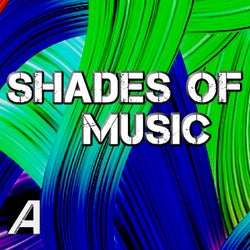Shades of Music (Original mix)