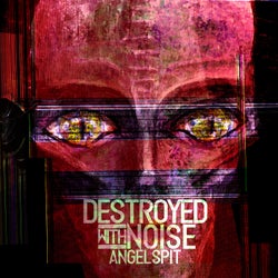 Destroyed With Noise