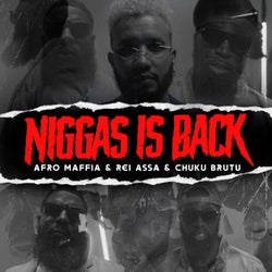 Niggas Is Back