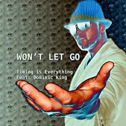Won't Let Go (feat. Timing is Everything, Dominic King) [Mixes]