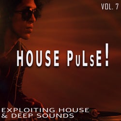 House Pulse!, Vol. 7