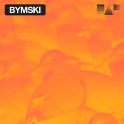 Bymski - Birds (Follow Me) / Forgiven