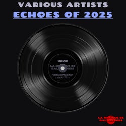 Echoes of 2025
