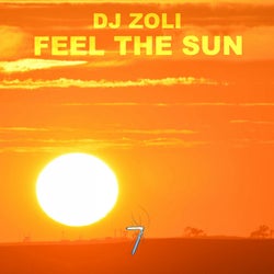 Feel The Sun - Single