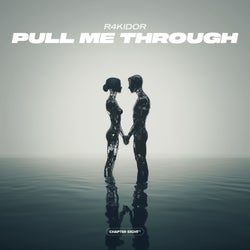 Pull Me Through