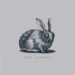 Odd Numbers