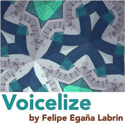 Voicelize