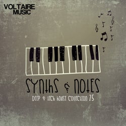 Synths And Notes 25