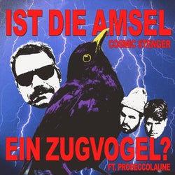 Ist die Amsel ein Zugvogel? (feat. Proseccolaune)