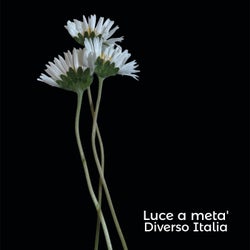 Luce a Meta'