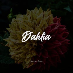 Dahlia