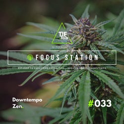 Downtempo Zen. | Ep. 033