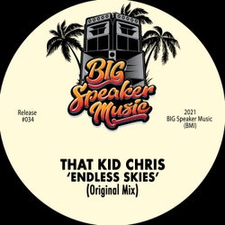Endless Skies (Original Mix)