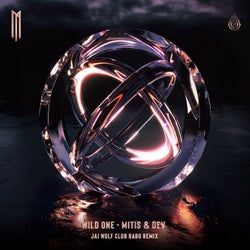 Wild One (Jai Wolf Club Babu Remix)