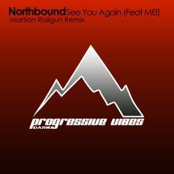 See You Again (Martian Railgun Remix) (Feat MEI)