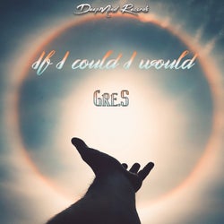 If I Could I Would