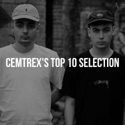 CEMTREX'S TOP 10 SELECTION