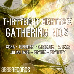Thirtyeight Eightysix Gathering No.2