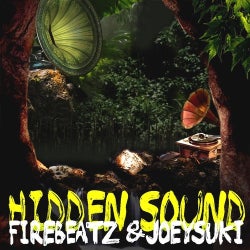 Hidden Sound