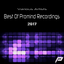 Best Of Promind Recordings 2017