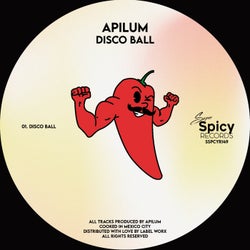 Disco Ball