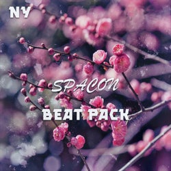 Beat Pack Ny