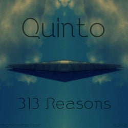 313 Reasons
