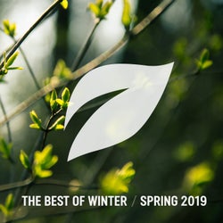 The Best of Winter / Spring 2019