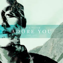 Adore You