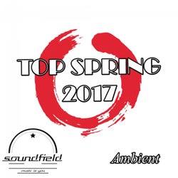 Ambient Top Spring 2017
