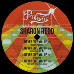 Never Give You Up (Michael Gray Remix)