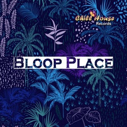 Bloop Place
