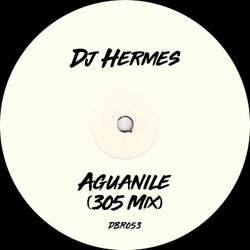 Aguanile