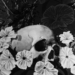 Signs (Rhythm Remixes)