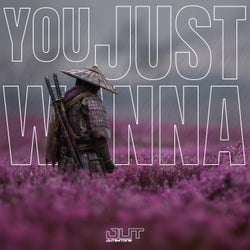 You Just Wanna