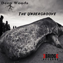 The Undergroove