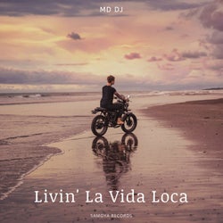 Livin' La Vida Loca