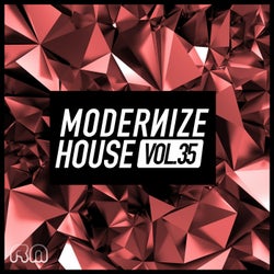 Modernize House Vol. 35