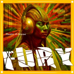 FURY (Remixes)